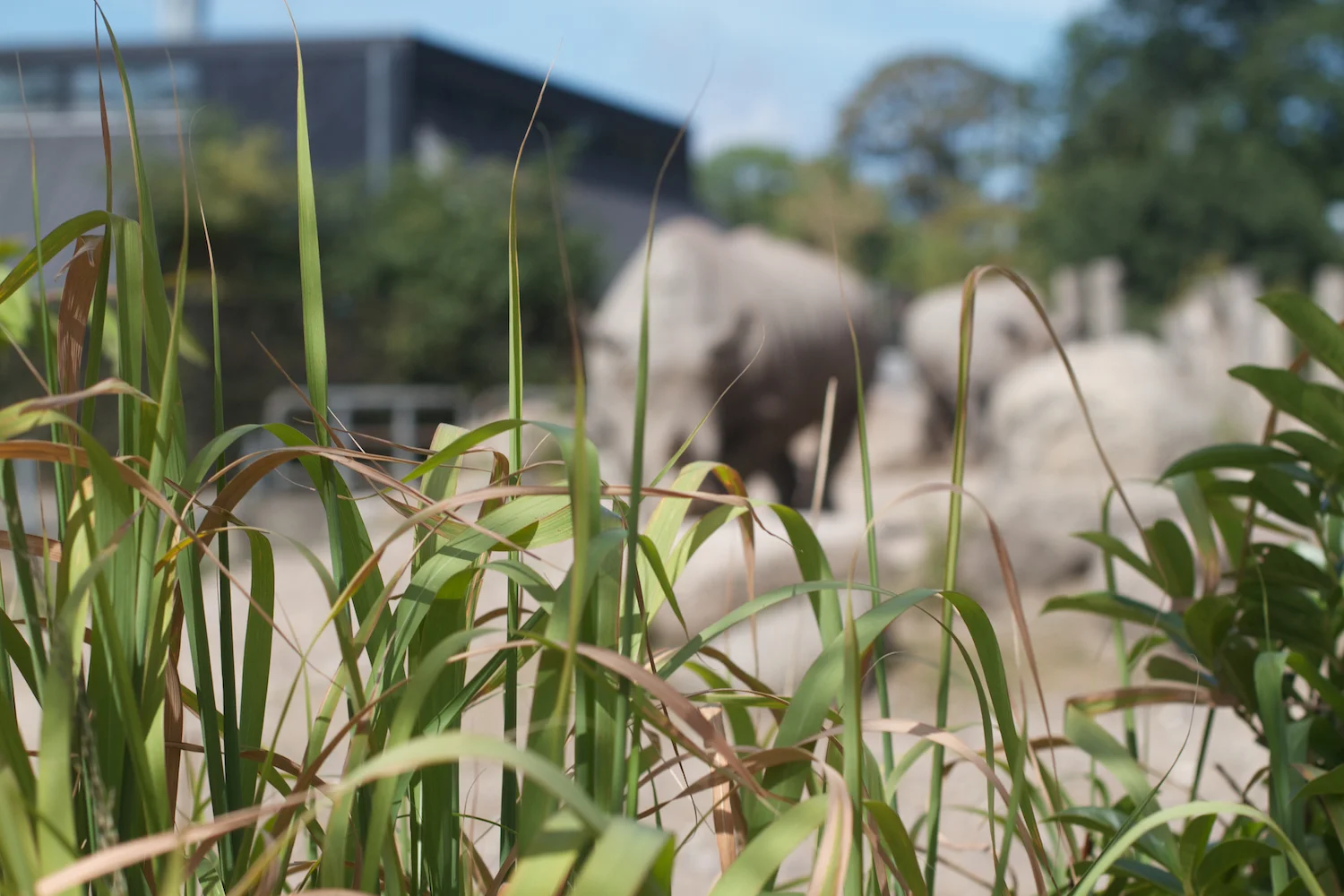 Snofari 2013_08_07 11.jpg