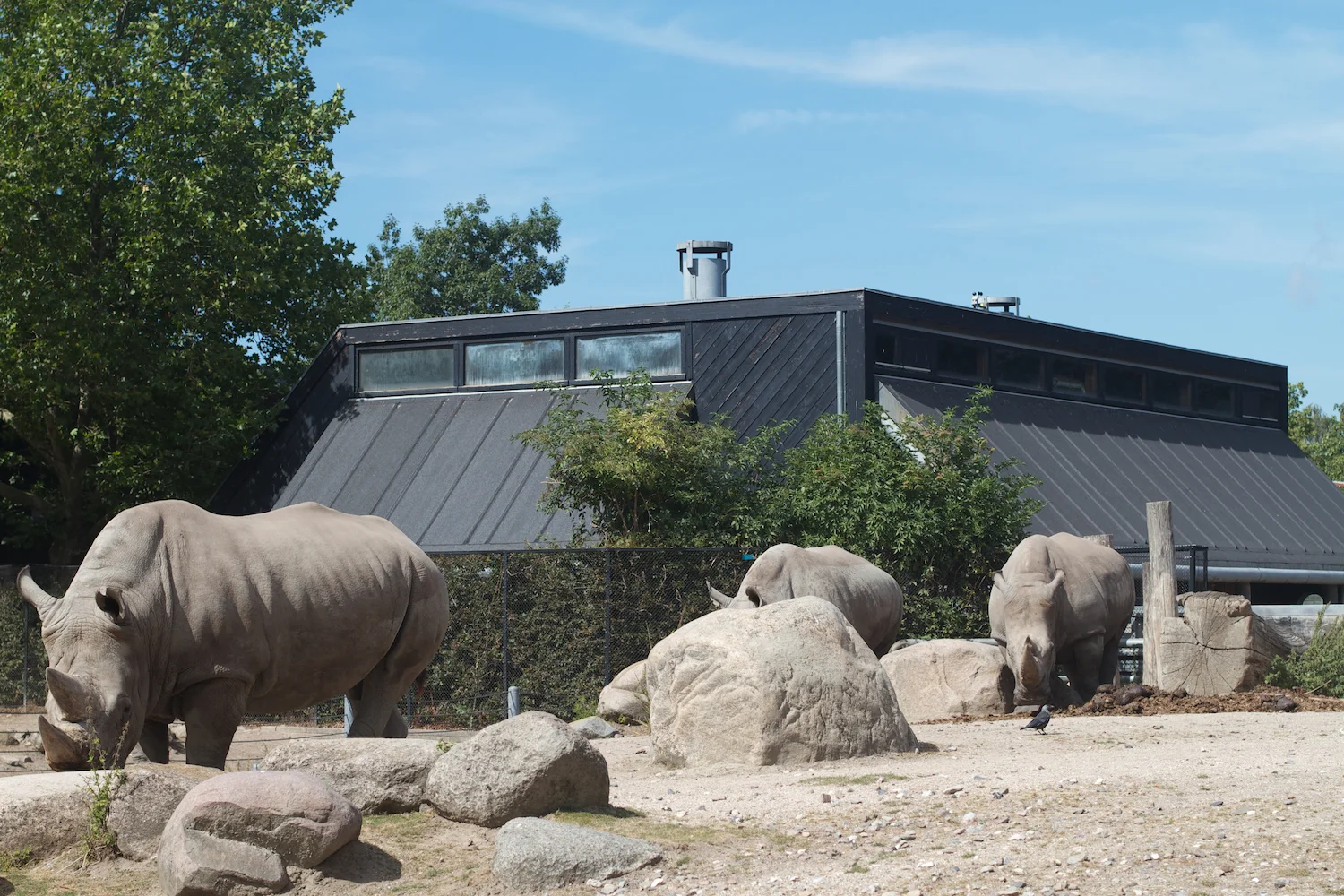 Snofari 2013_08_07 12.jpg