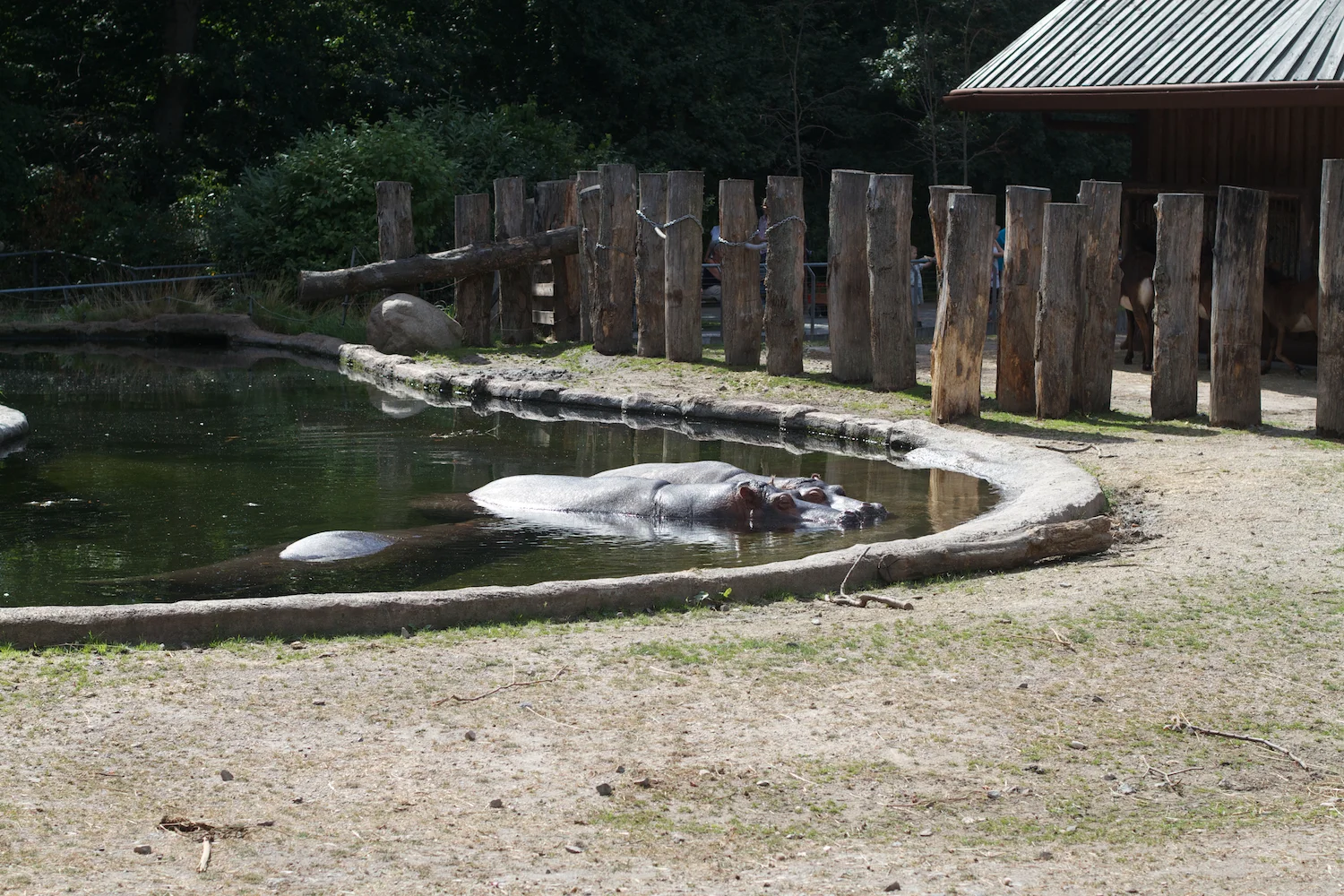 Snofari 2013_08_07 15.jpg