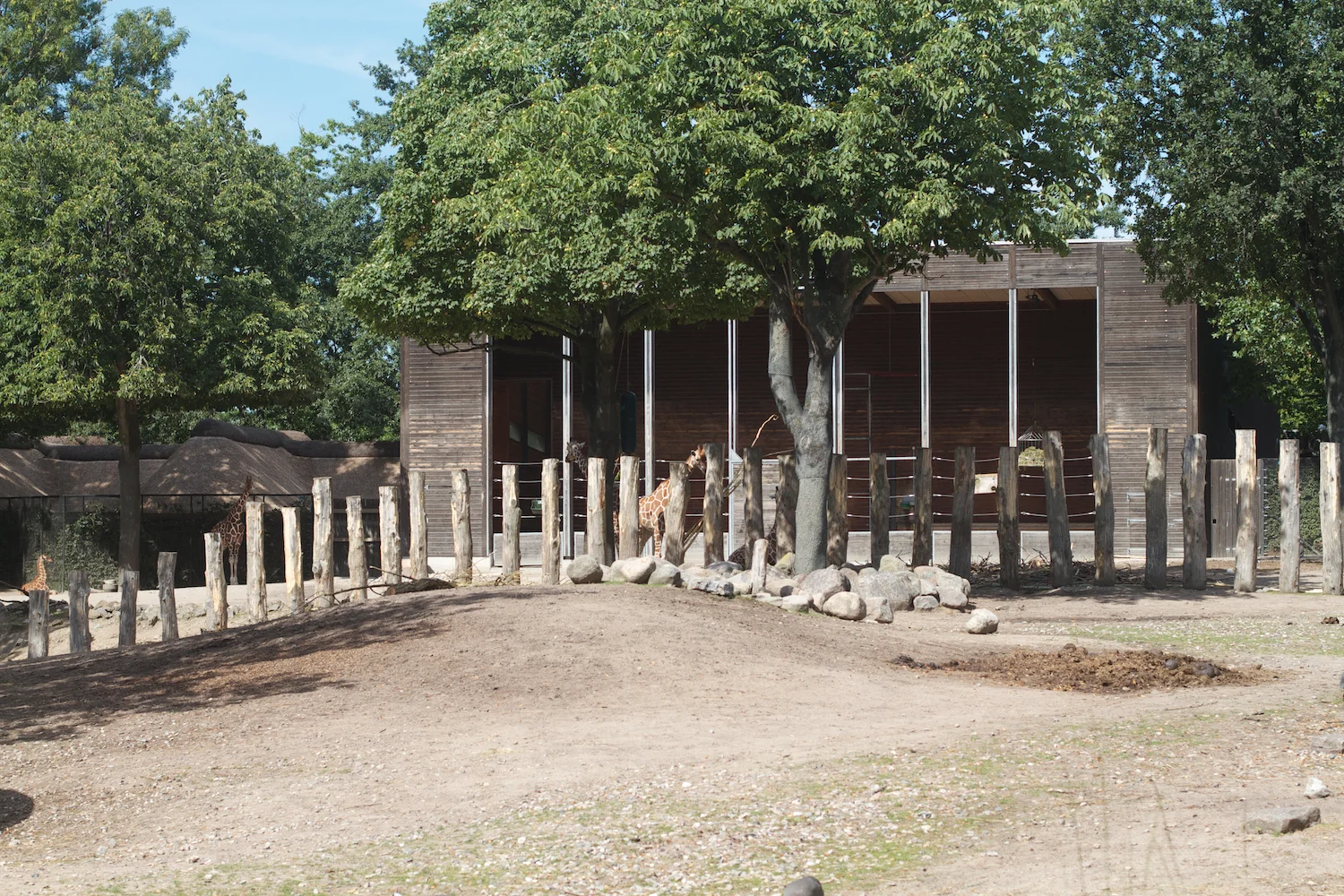 Snofari 2013_08_07 16.jpg