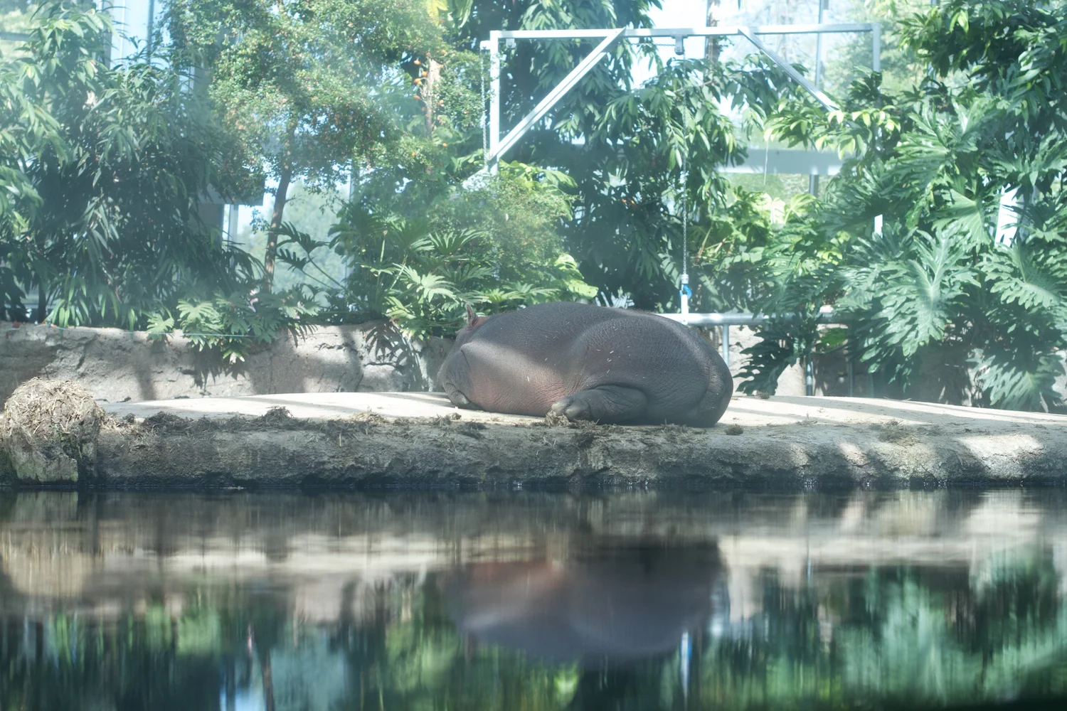 Snofari 2013_08_07 18.jpg