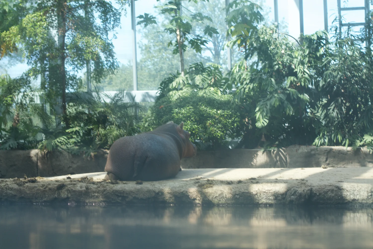 Snofari 2013_08_07 19.jpg