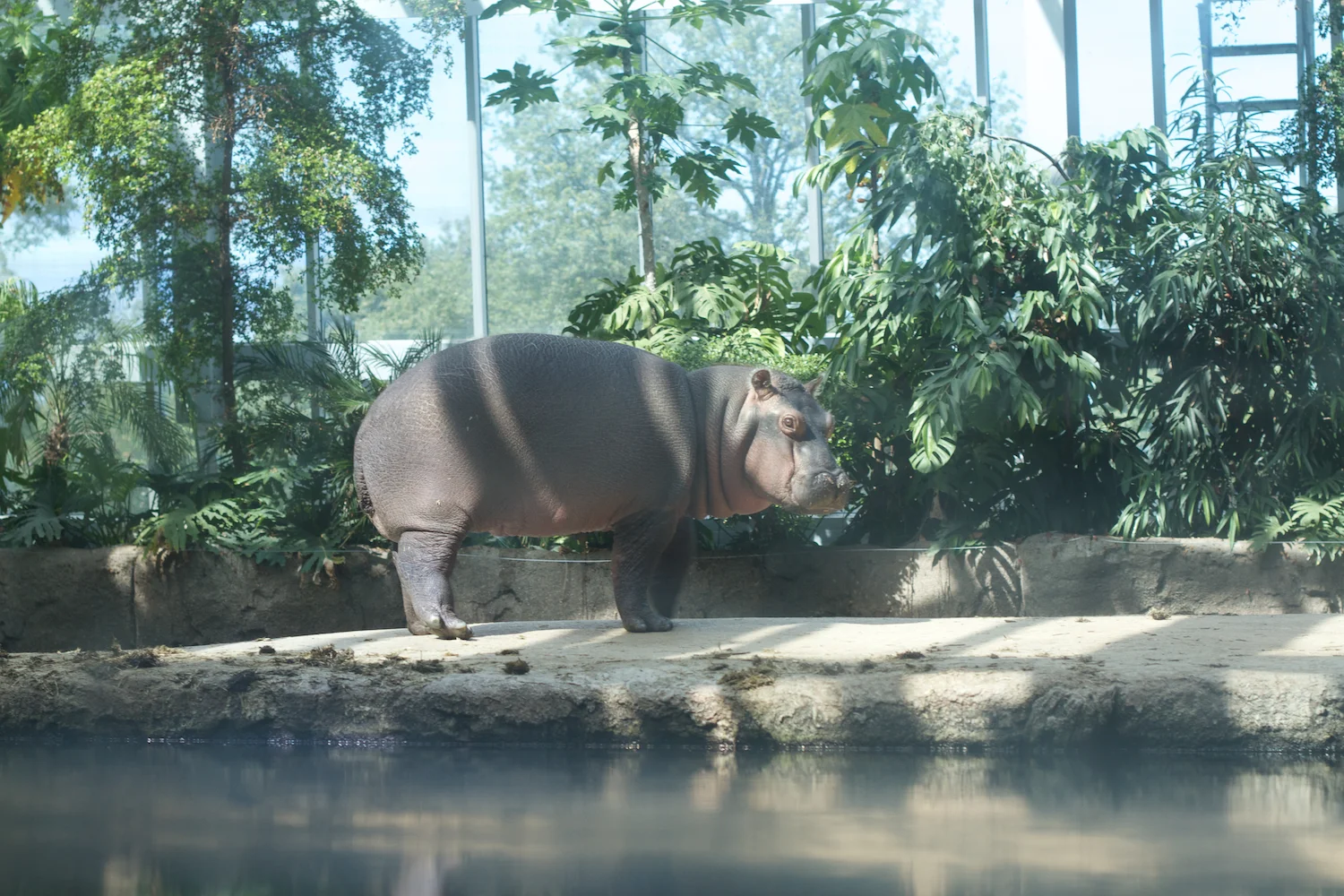 Snofari 2013_08_07 20.jpg