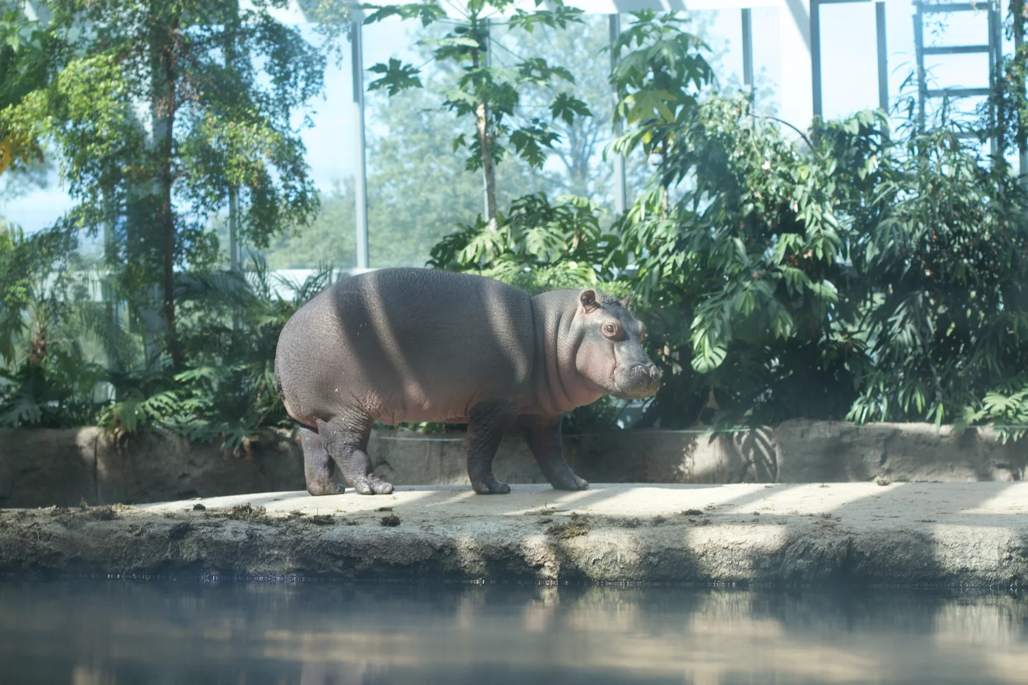 Snofari 2013_08_07 21.jpg