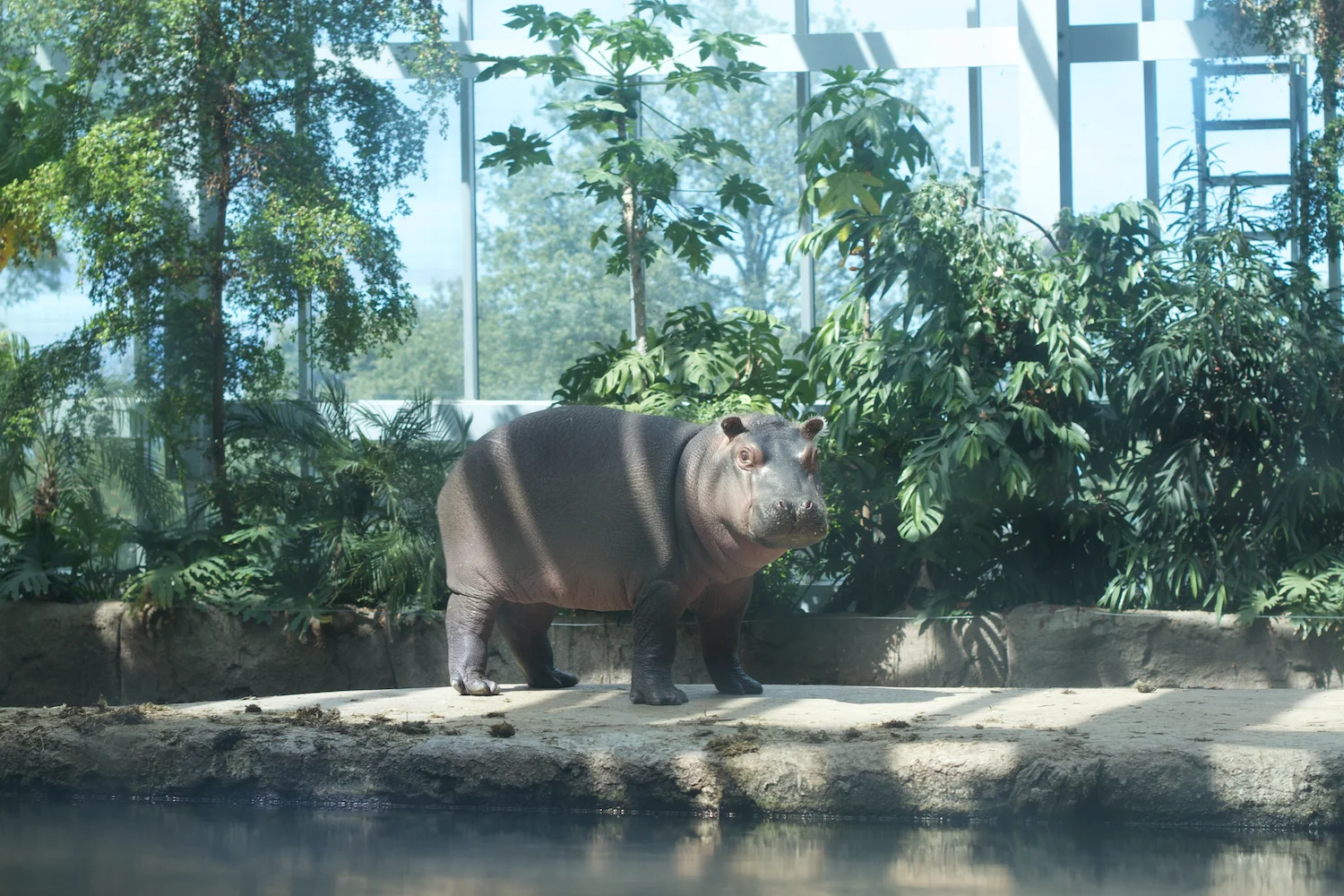 Snofari 2013_08_07 22.jpg