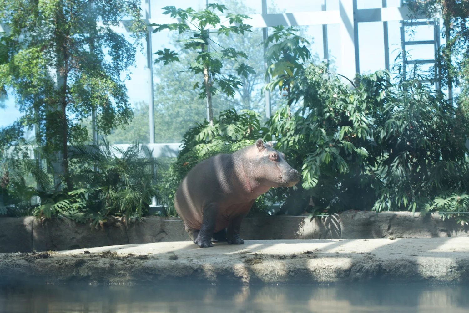 Snofari 2013_08_07 23.jpg