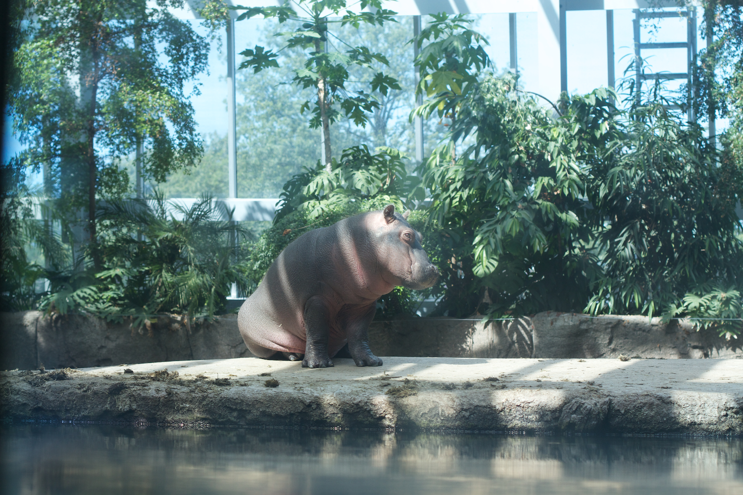 Snofari 2013_08_07 24.jpg