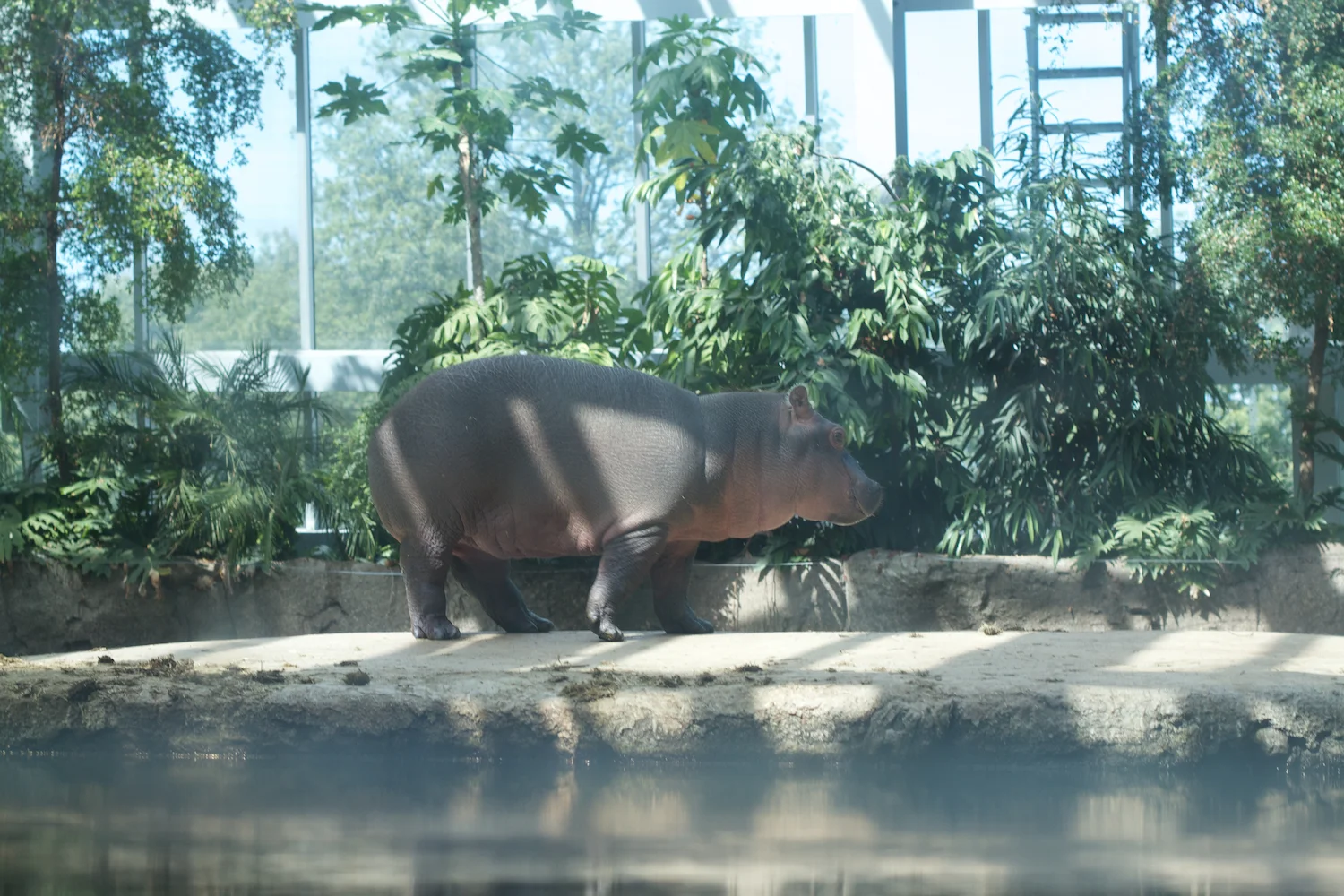 Snofari 2013_08_07 25.jpg