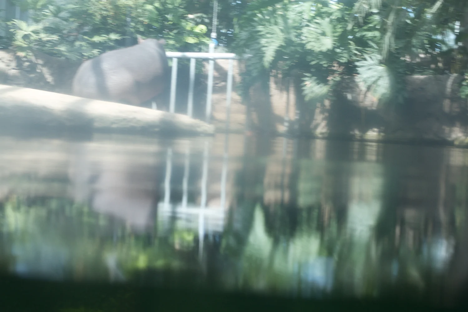 Snofari 2013_08_07 26.jpg