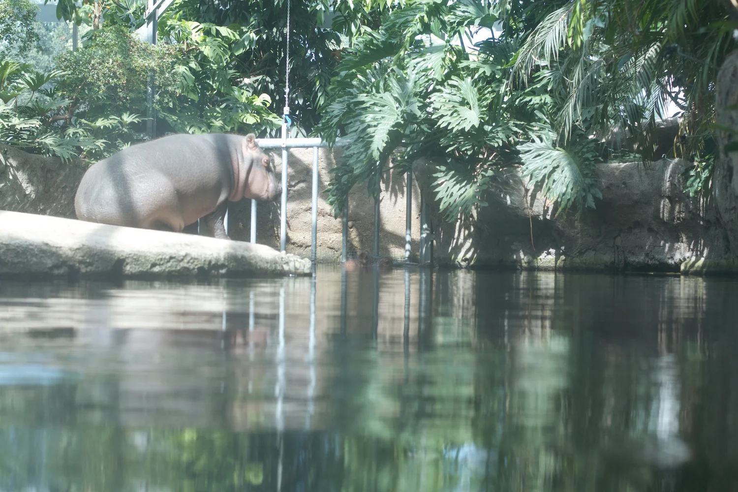 Snofari 2013_08_07 27.jpg