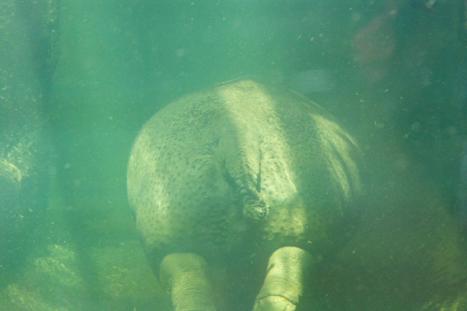 Snofari 2013_08_07 34.jpg