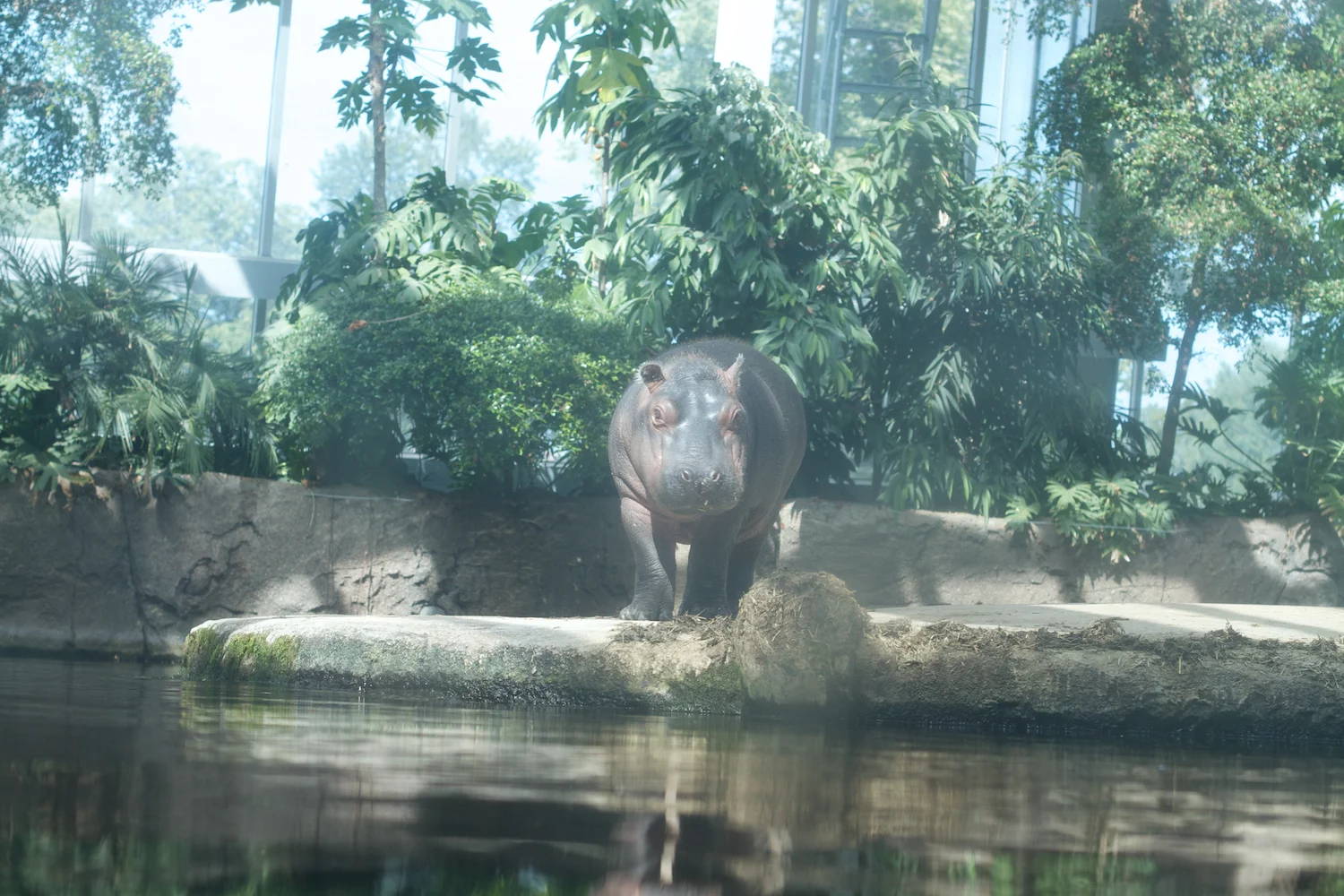 Snofari 2013_08_07 35.jpg