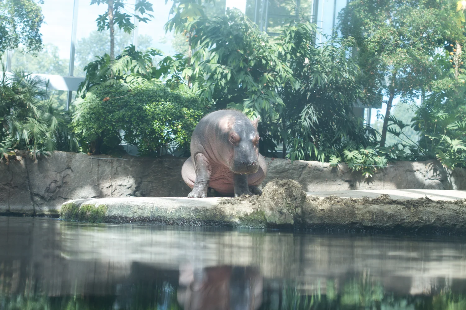 Snofari 2013_08_07 36.jpg