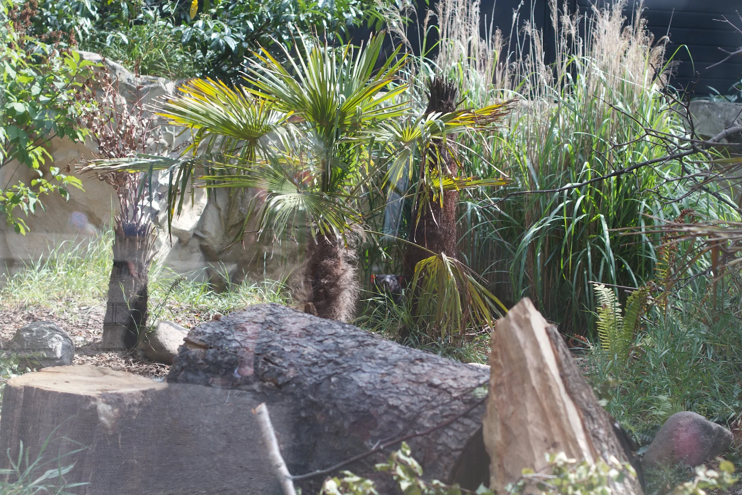 Snofari 2013_08_07 41.jpg