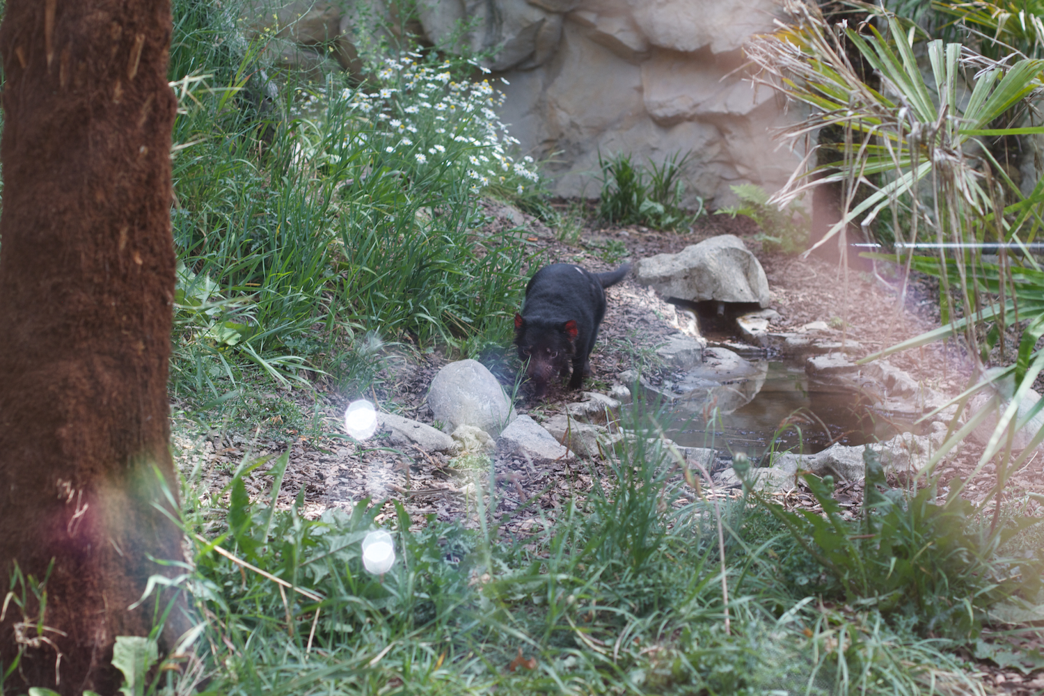 Snofari 2013_08_07 42.jpg