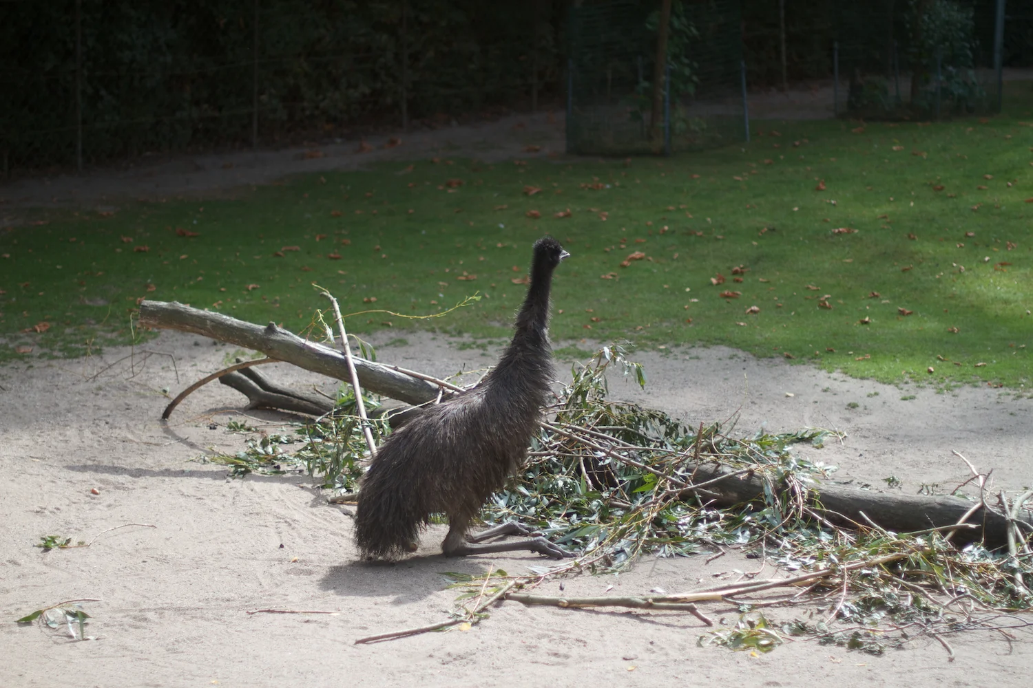 Snofari 2013_08_07 44.jpg