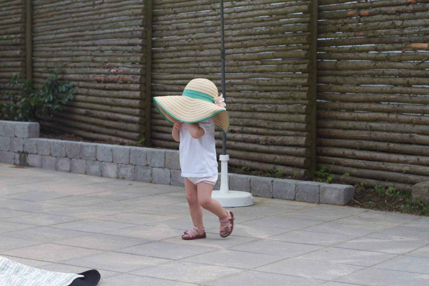 Skd Anna gal 2012_07_16 21.jpg