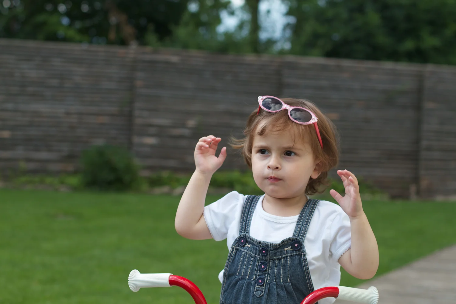 Skd Anna gal 2012_07_16 28.jpg