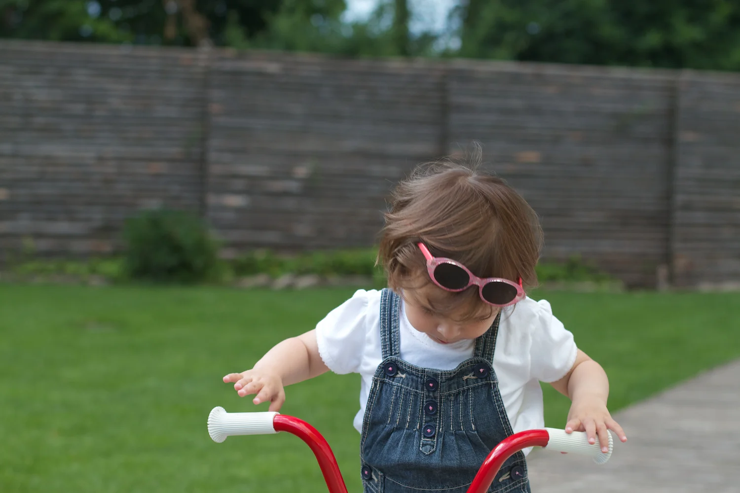 Skd Anna gal 2012_07_16 29.jpg