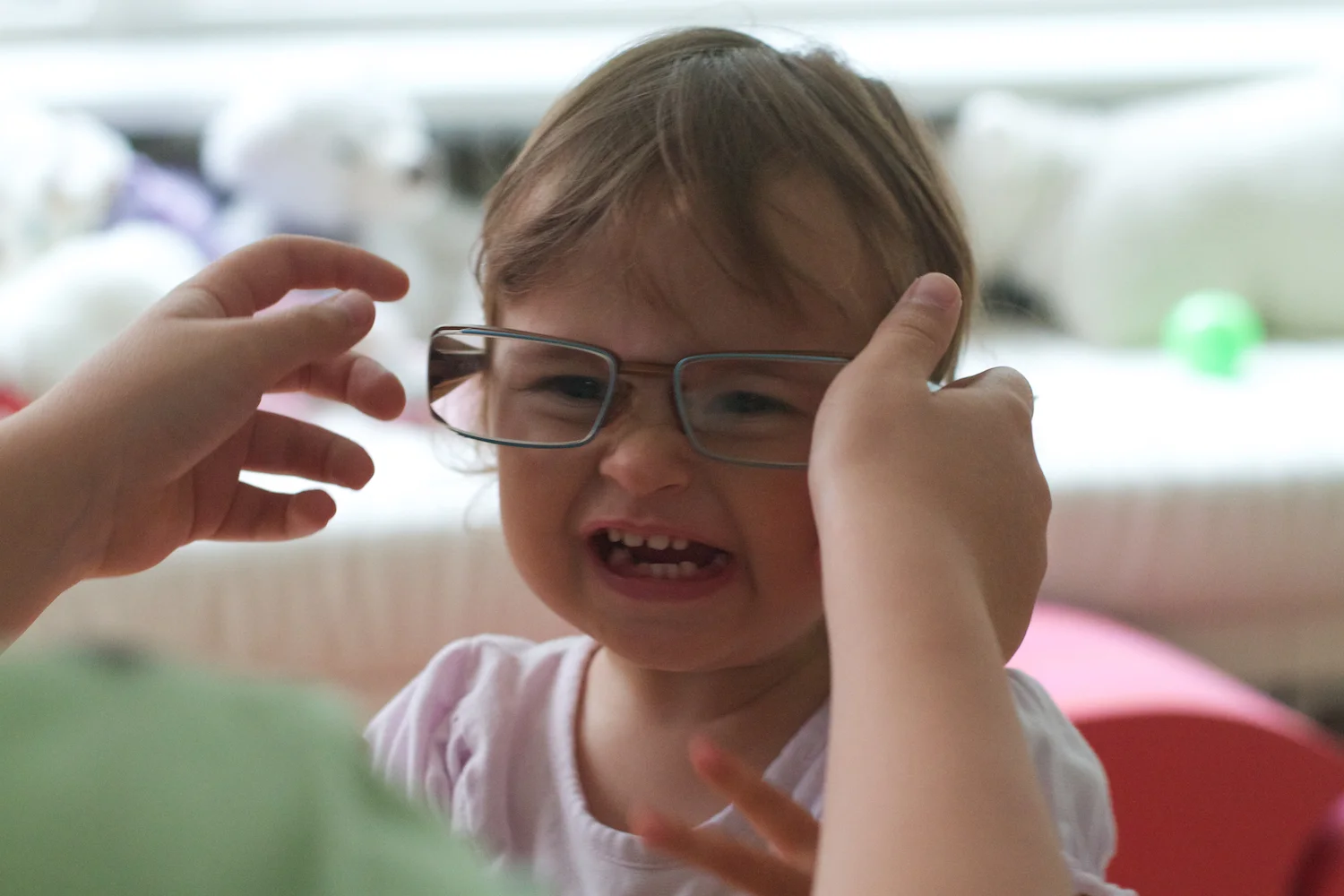 Skd Anna gal 2011_08_05 3.jpg