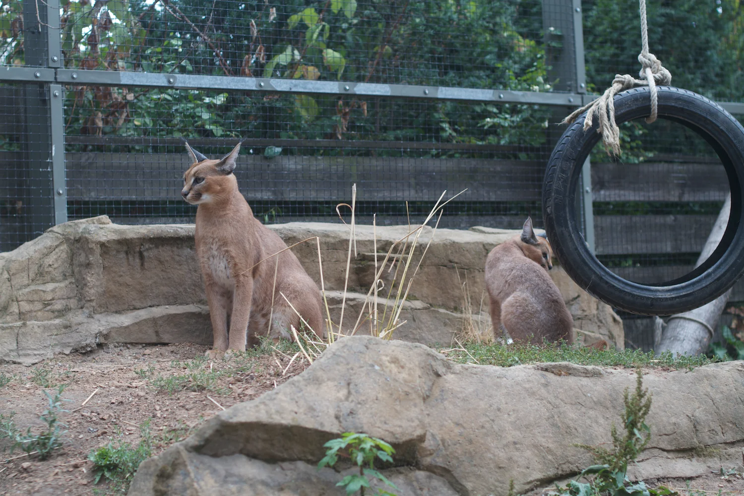 Anna gal bogorm 2013_08_08 13.jpg