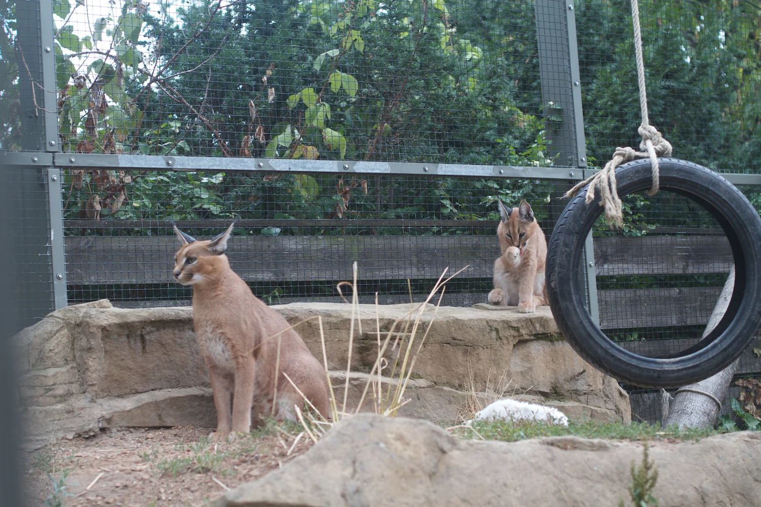 Anna gal bogorm 2013_08_08 22.jpg