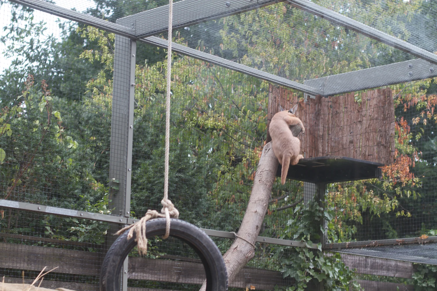 Anna gal bogorm 2013_08_08 31.jpg