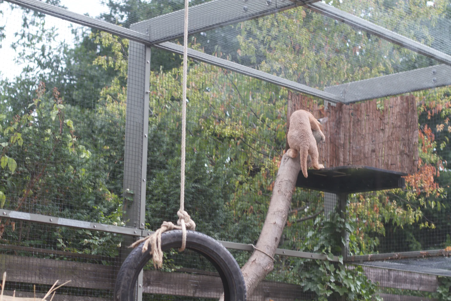 Anna gal bogorm 2013_08_08 32.jpg