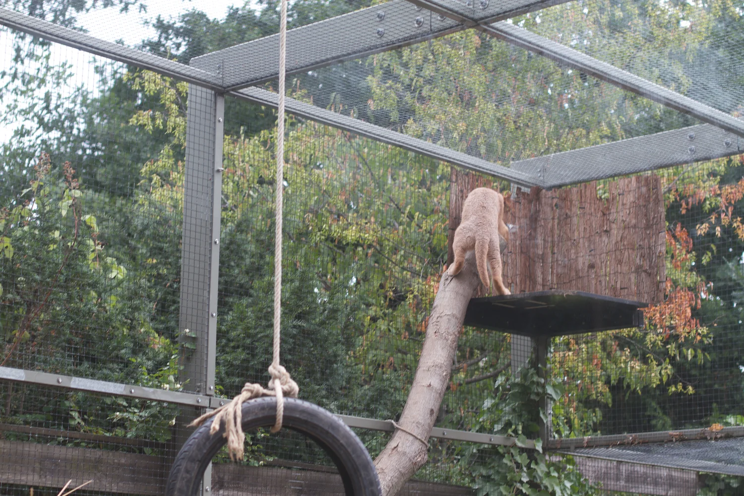 Anna gal bogorm 2013_08_08 33.jpg