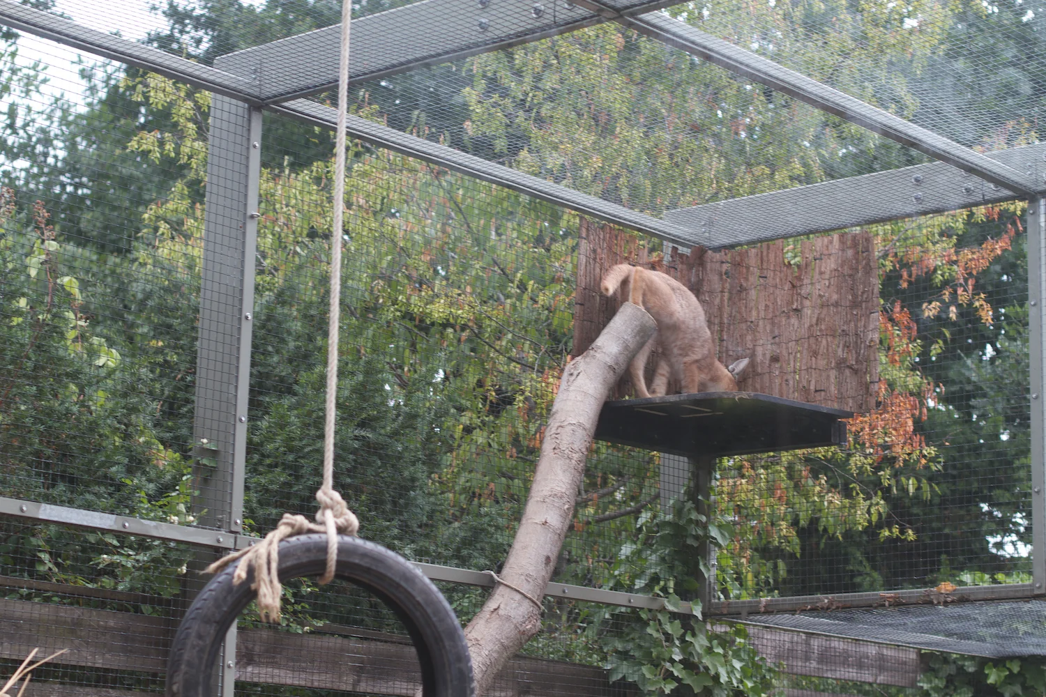 Anna gal bogorm 2013_08_08 34.jpg