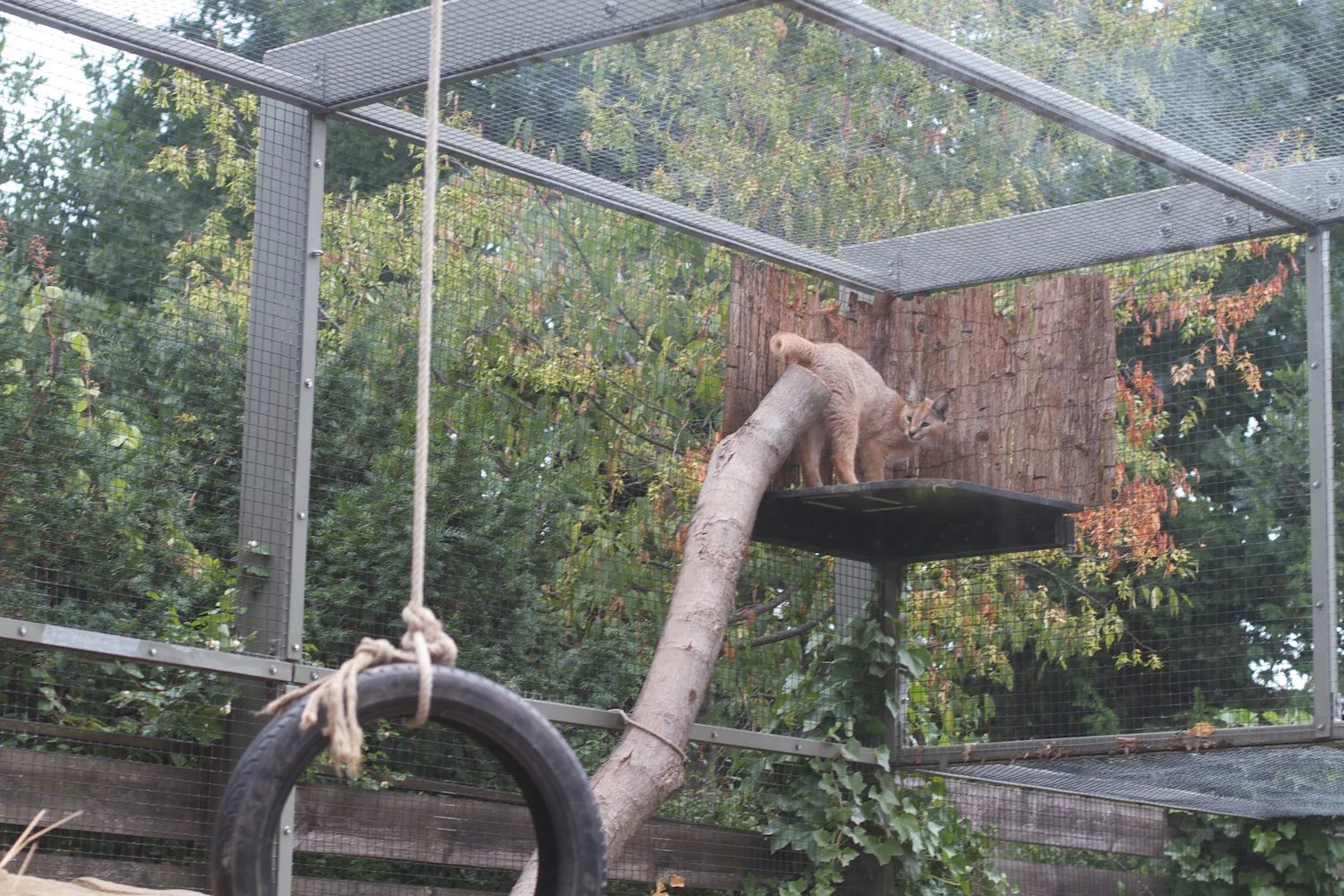 Anna gal bogorm 2013_08_08 35.jpg