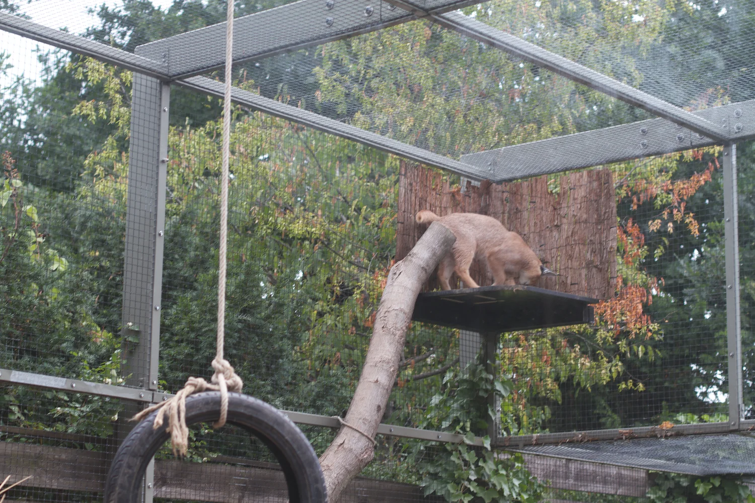 Anna gal bogorm 2013_08_08 36.jpg