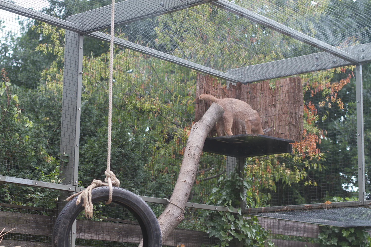 Anna gal bogorm 2013_08_08 37.jpg