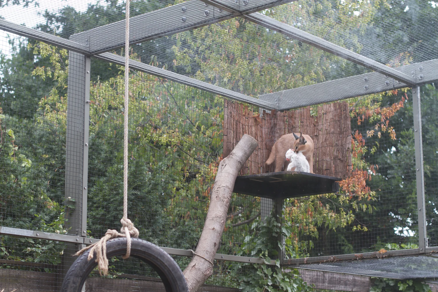 Anna gal bogorm 2013_08_08 38.jpg