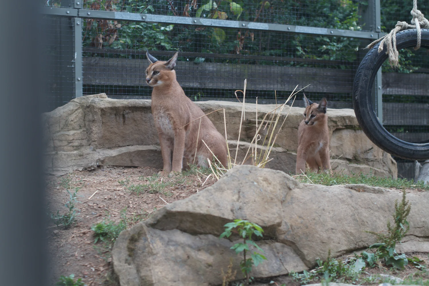 Anna gal bogorm 2013_08_08 39.jpg