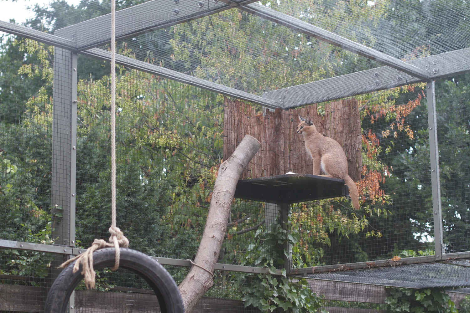 Anna gal bogorm 2013_08_08 40.jpg