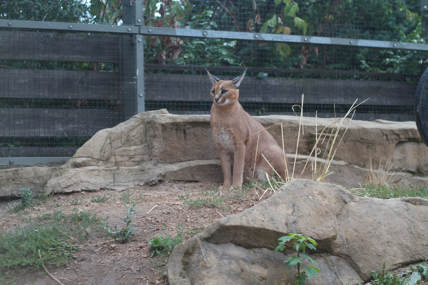 Anna gal bogorm 2013_08_08 41.jpg