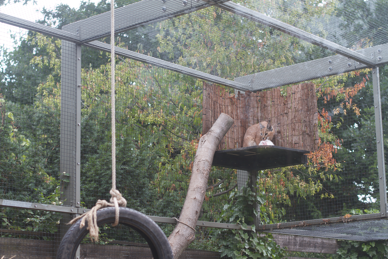 Anna gal bogorm 2013_08_08 50.jpg