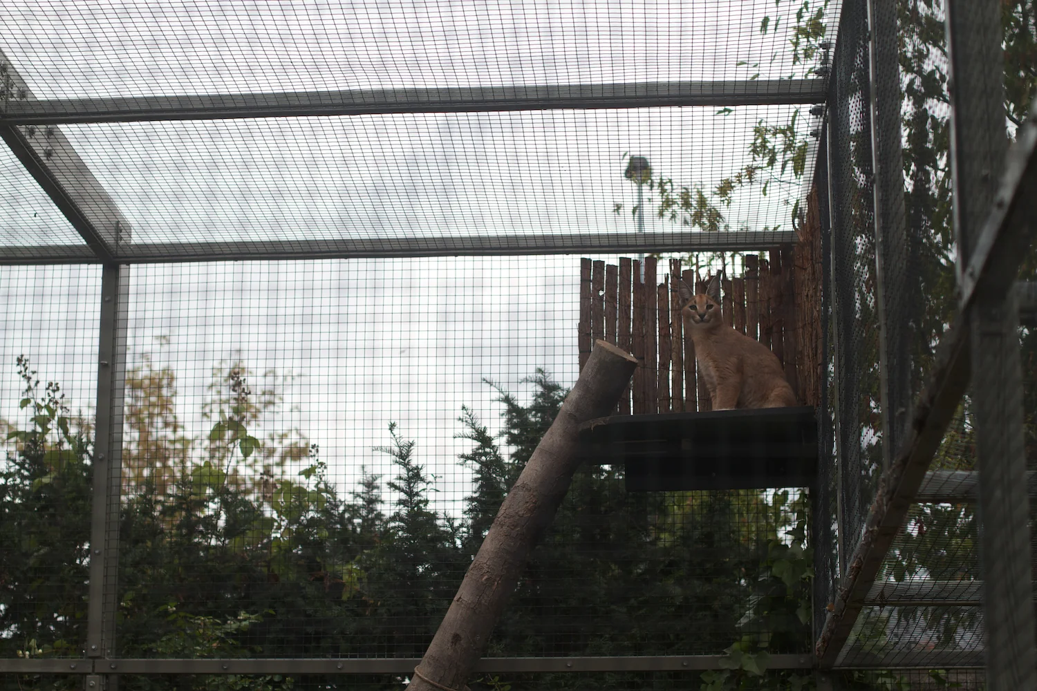 Anna gal bogorm 2013_08_08 53.jpg