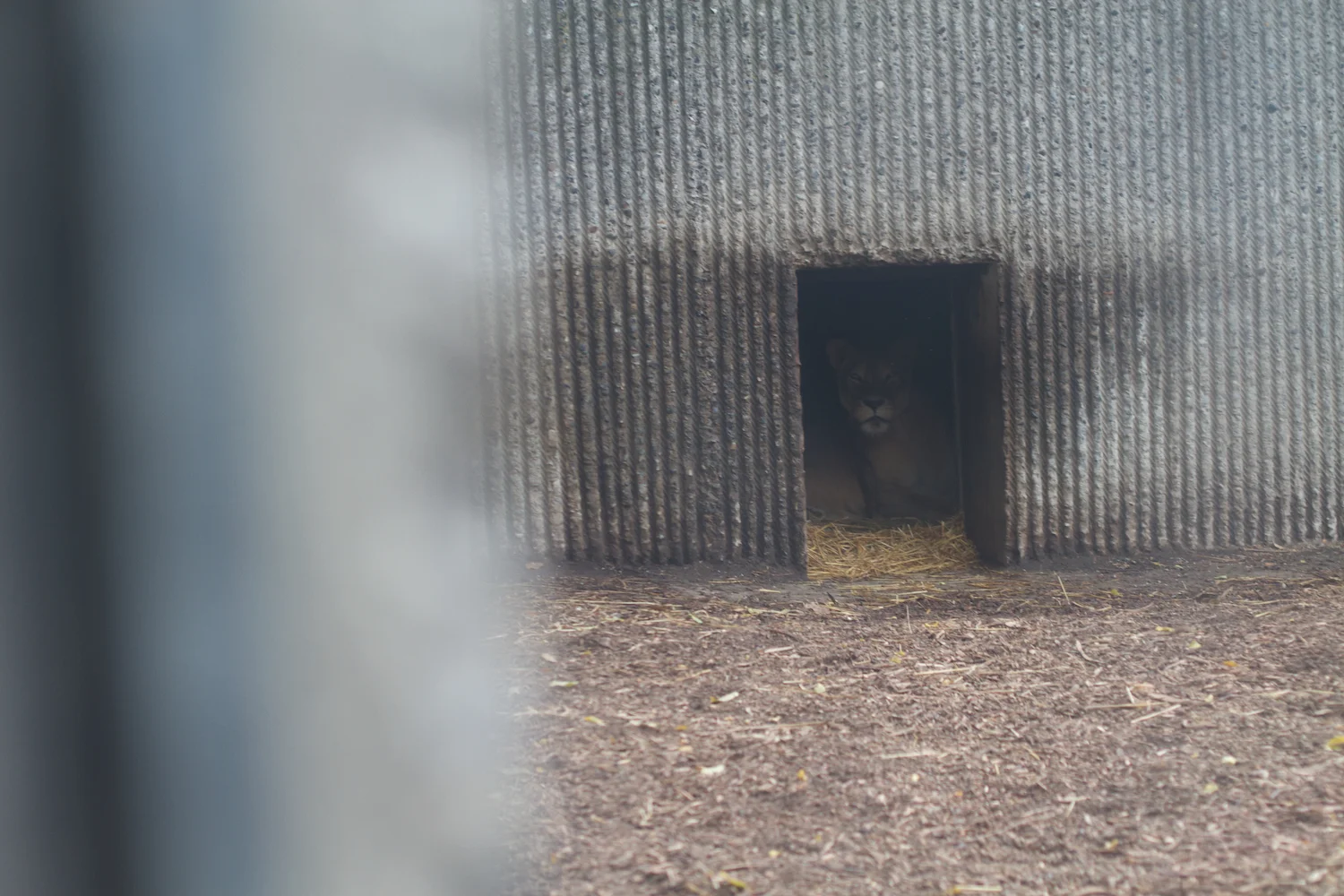 Anna gal bogorm 2013_08_08 55.jpg