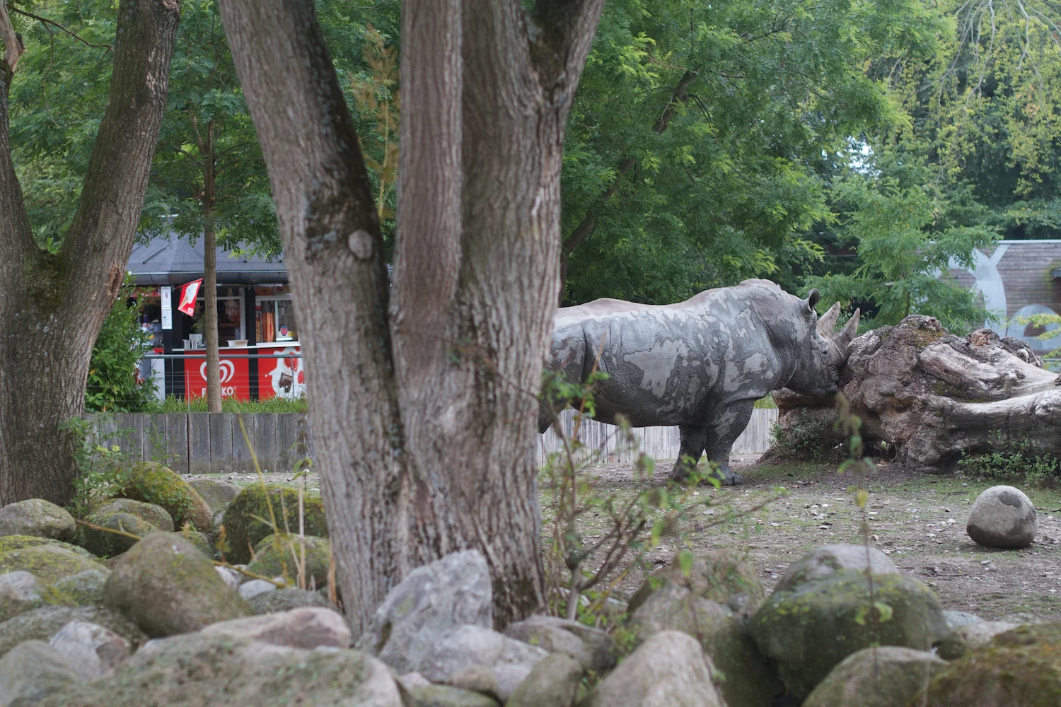 Anna gal bogorm 2013_08_08 54.jpg