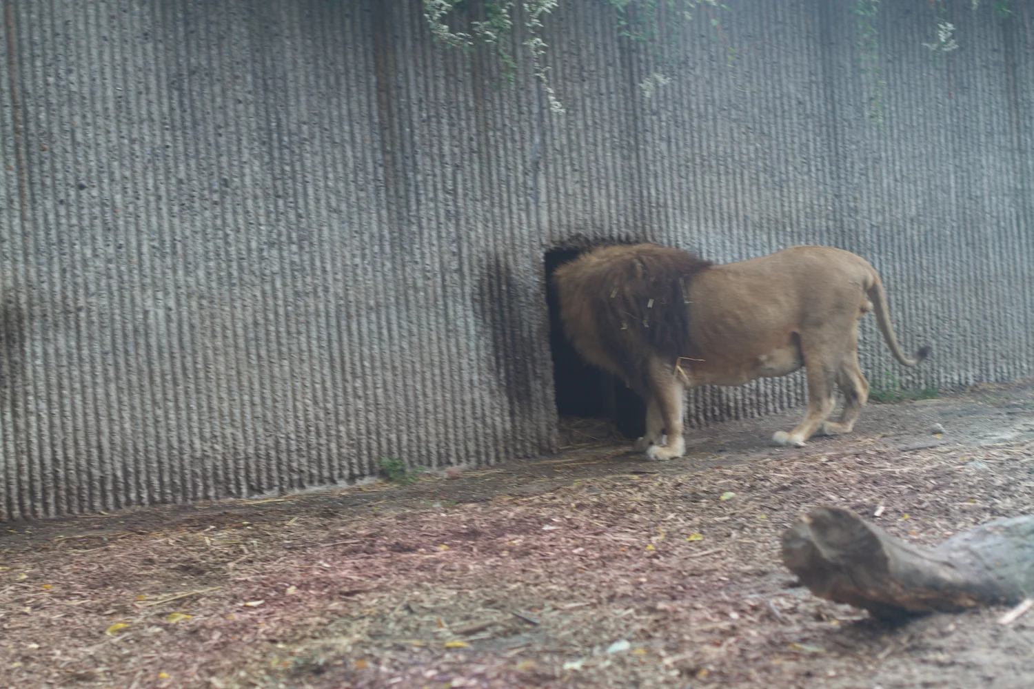 Anna gal bogorm 2013_08_08 56.jpg