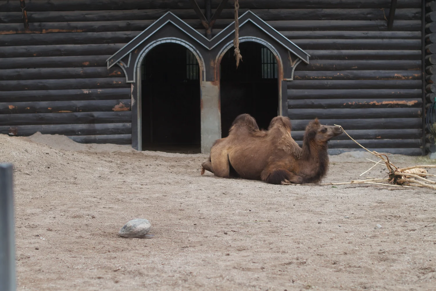 Anna gal bogorm 2013_08_08 57.jpg