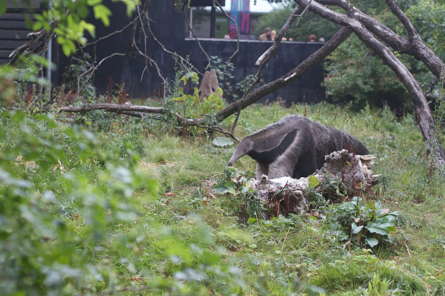 Anna gal bogorm 2013_08_08 59.jpg