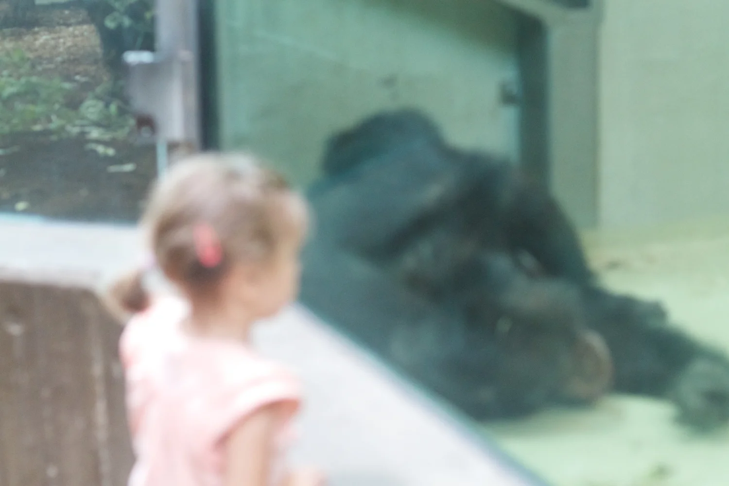 Anna gal bogorm 2013_08_08 62.jpg