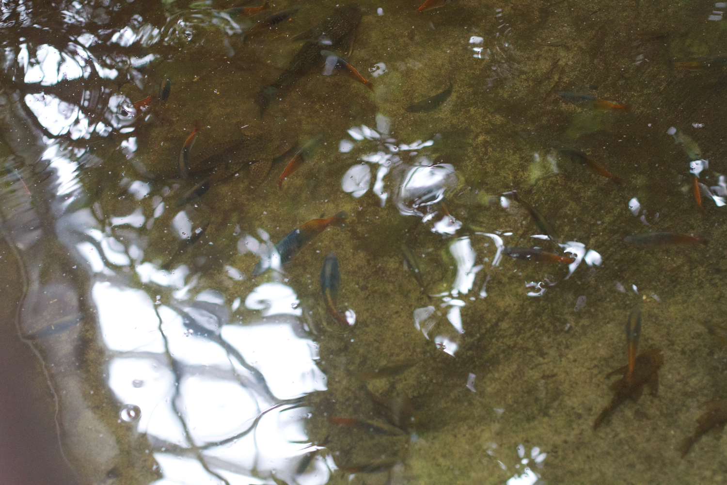 Anna gal bogorm 2013_08_08 64.jpg