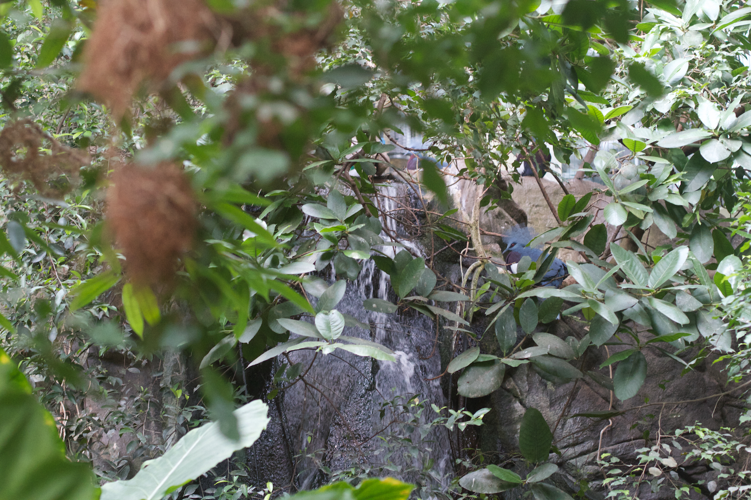 Anna gal bogorm 2013_08_08 65.jpg