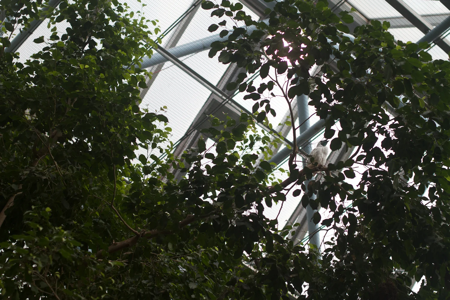 Anna gal bogorm 2013_08_08 66.jpg