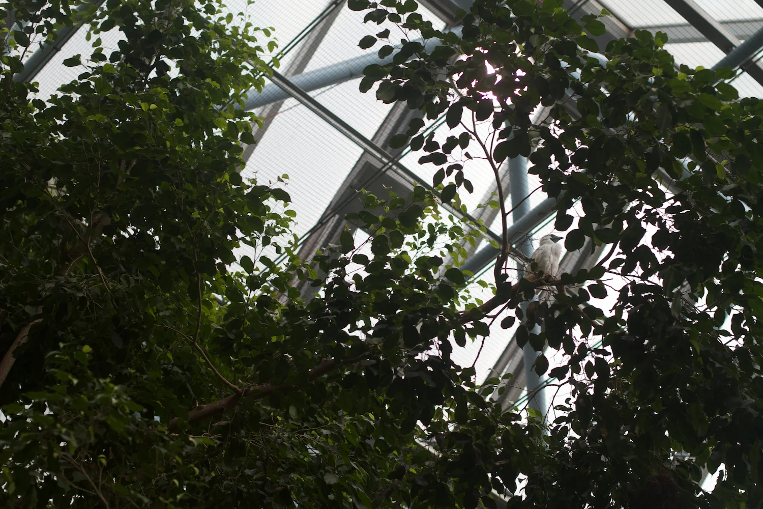 Anna gal bogorm 2013_08_08 67.jpg