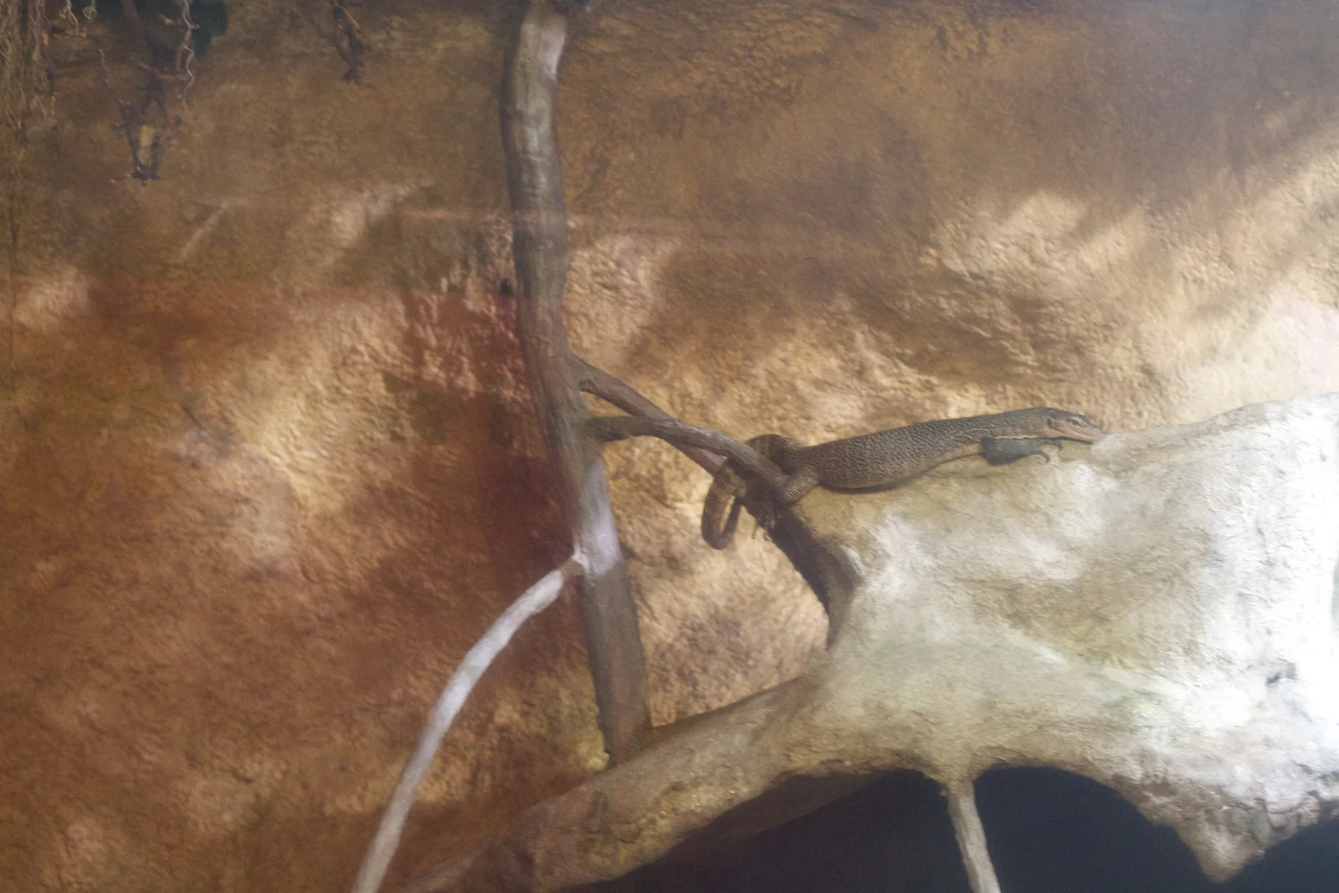 Anna gal bogorm 2013_08_08 68.jpg